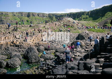 Tourists climbing Giant`s Causeway volcanic rocks in Bushmills Antrim Northern Ireland Stock Photo